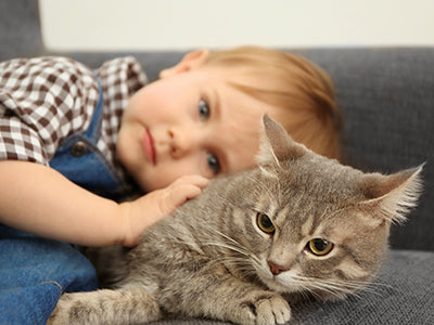 Creating a Safe Home: Babyproofing for Toddlers and Cats Without Compromising Your Feline's Space